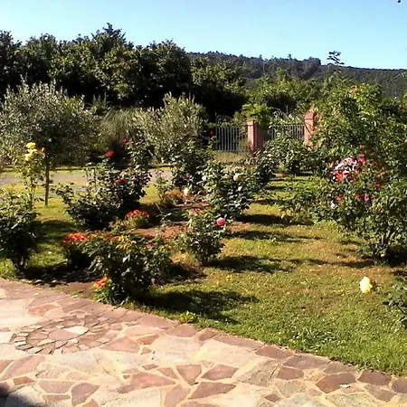 La Casa Dei Masue